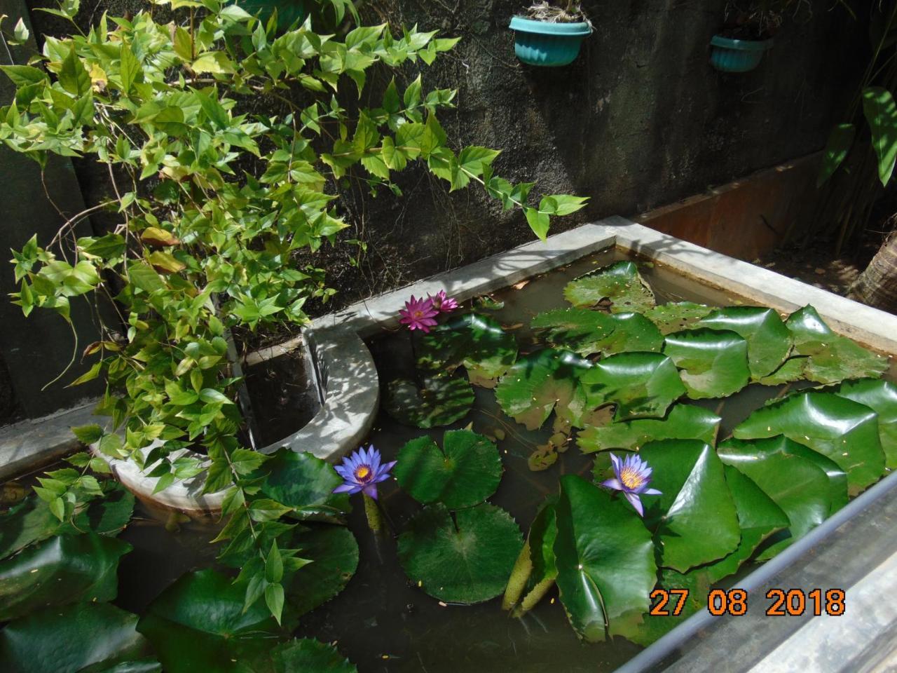 Elagawagoda Sri Lankan Villa المظهر الخارجي الصورة